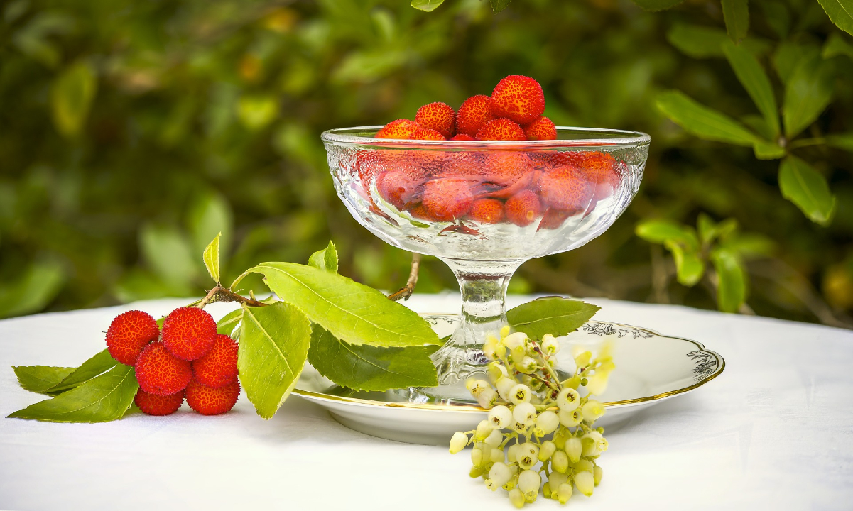 El madroño, la fruta que contiene alcohol y podría embriagarte