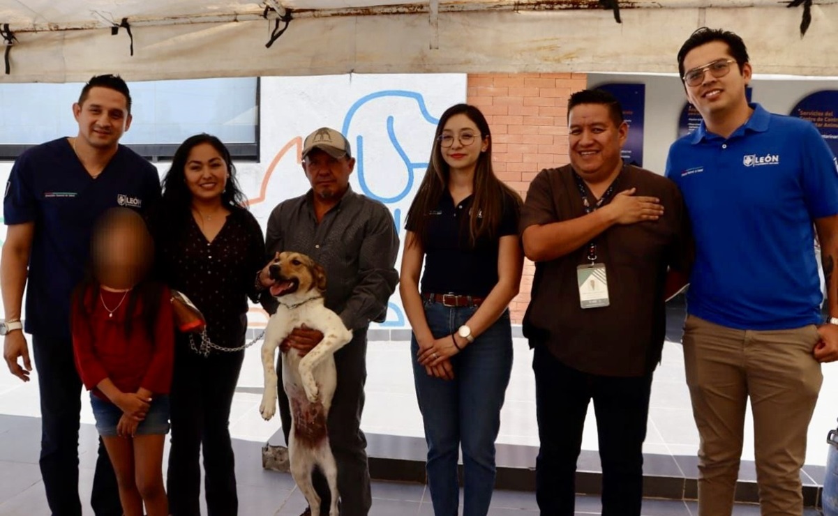 Adoptan a la perrita “Libertad”, sobreviviente de tortura en Guanajuato
