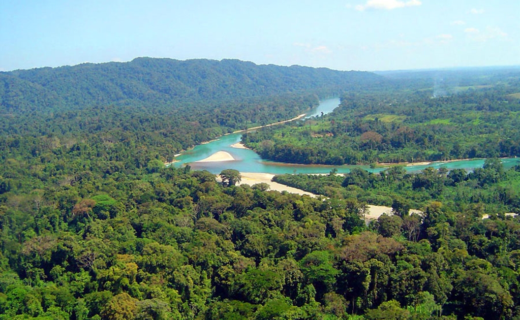Unesco examinará 28 potenciales Reservas de la Biosfera, 6 latinoamericanas