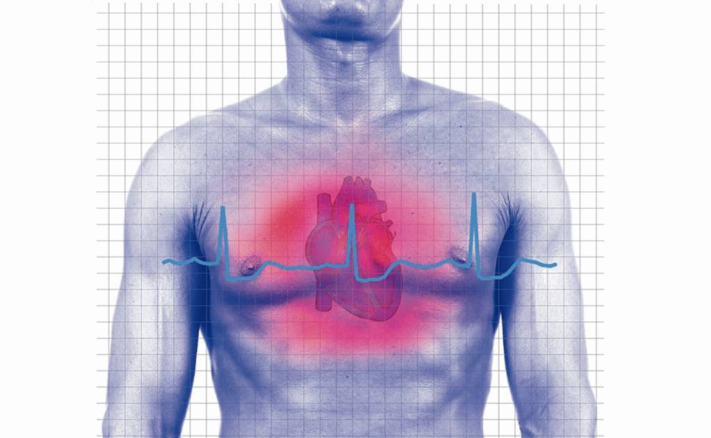 Detectan proteína capaz de regenerar células cardíacas tras infarto