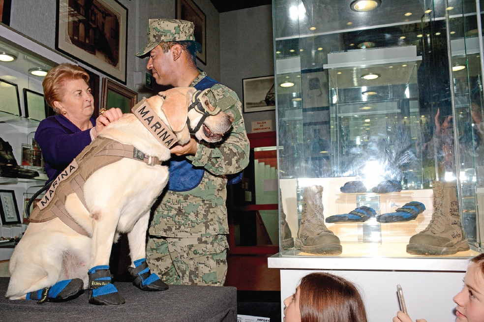Frida dona botas de rescate al Museo del Calzado El Borceguí