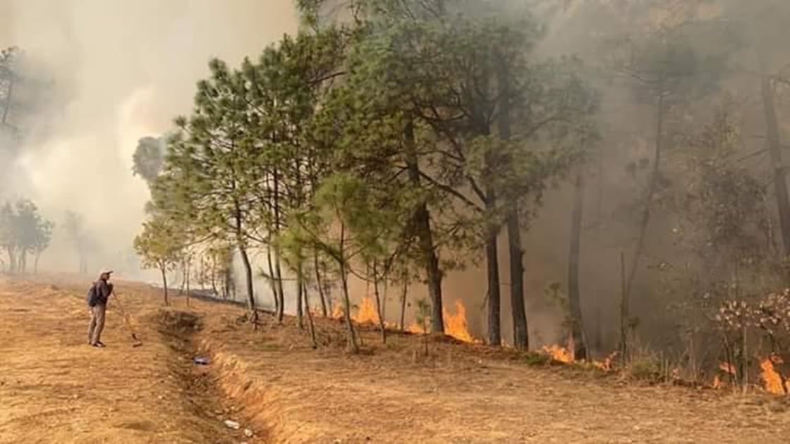 Mueren 5 pobladores de Quiaviní, Oaxaca, al combatir incendio que consume su bosque