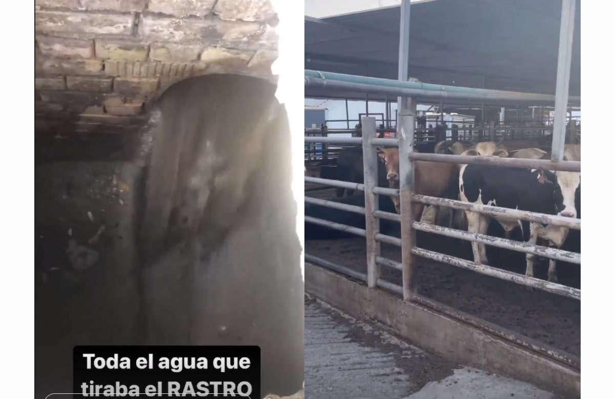 Clausuran en Monterrey Rastro Municipal por robar agua de la ciudad
