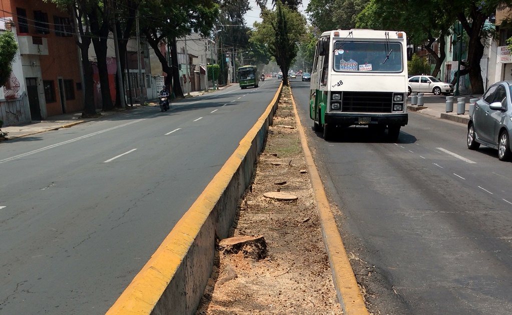 Talan árboles en Misterios por L7 del Metrobús