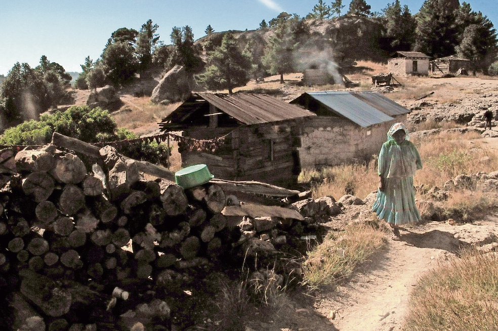 Violencia y despojo, la vida en la montaña