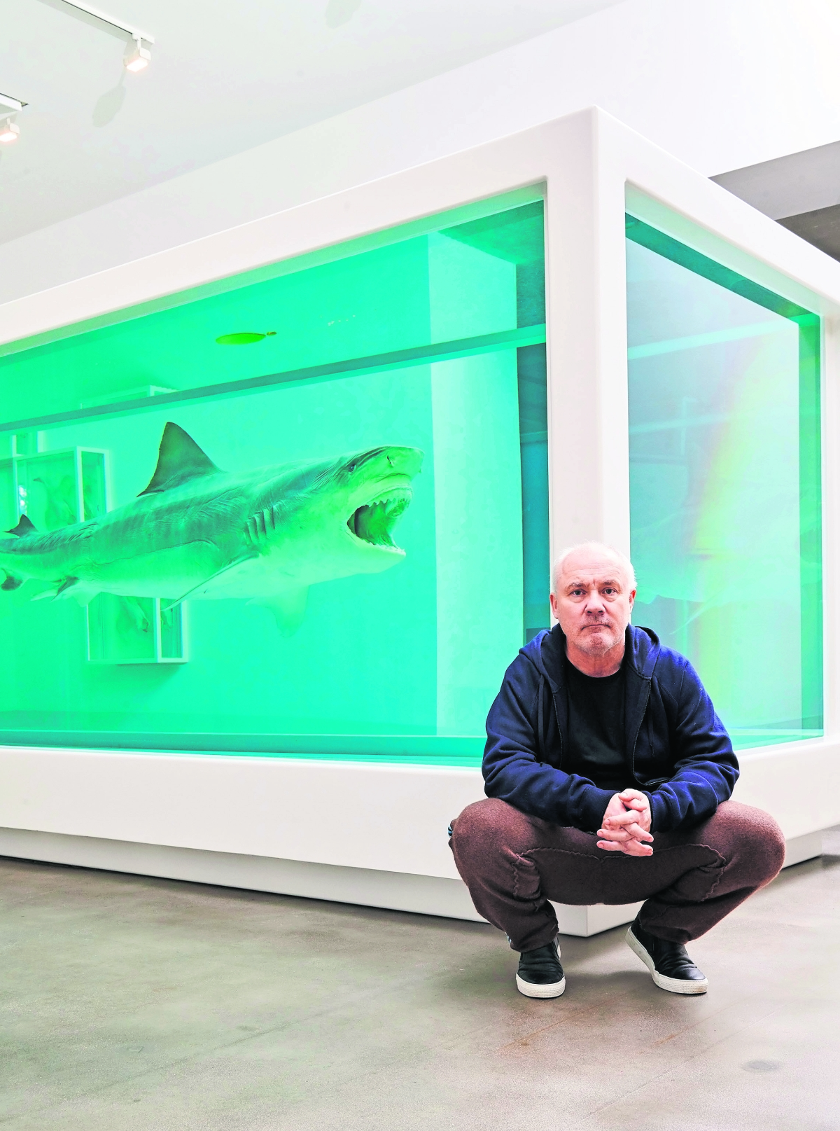 Hirst, por primera vez en AL, expondrá en el Jumex