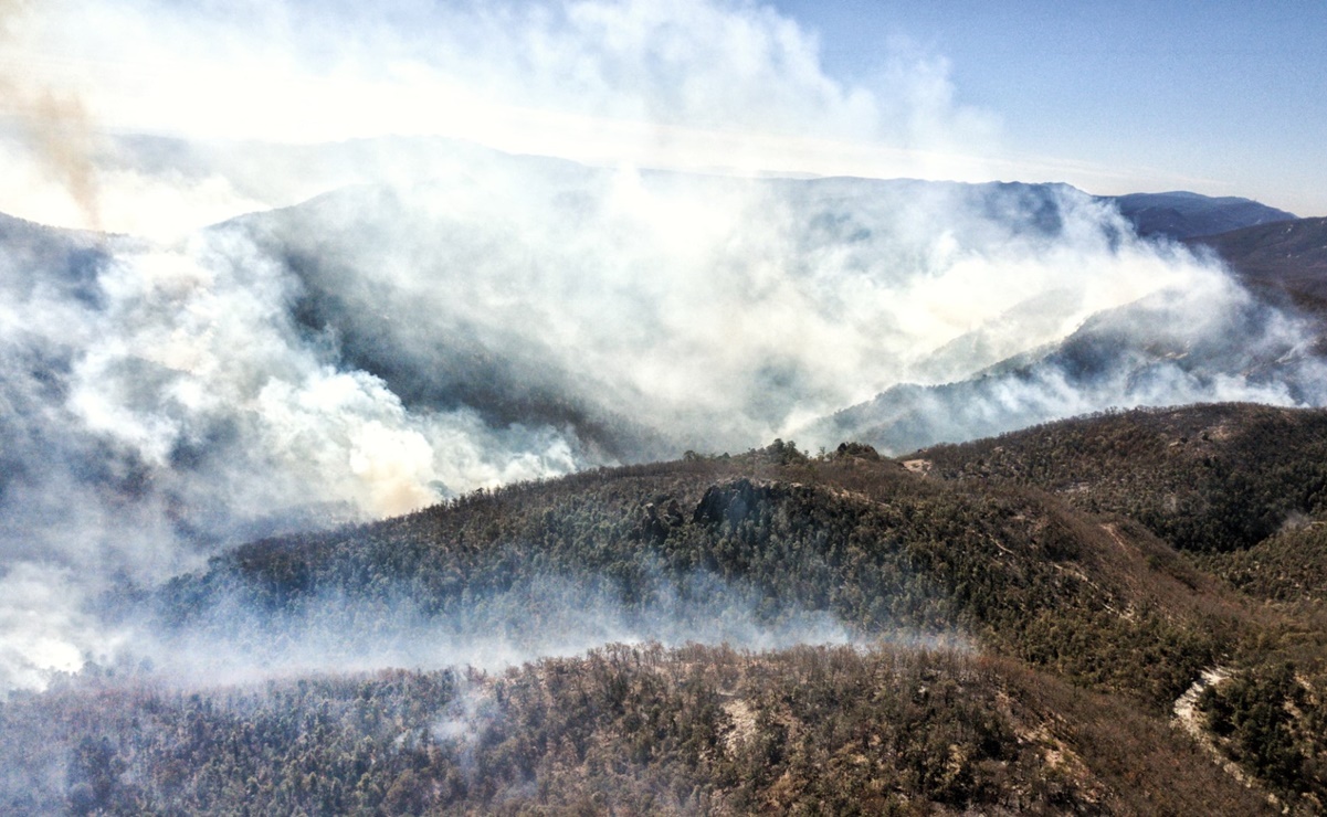 Incendio devora 300 hectáreas de encino en la sierra de Santa Rosa de Lima, Guanajuato