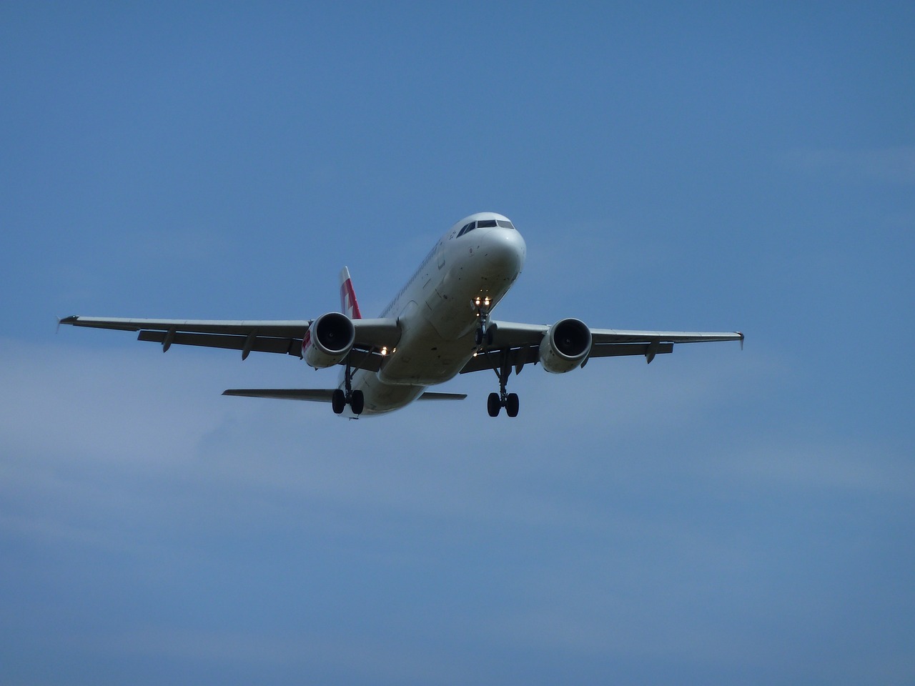 Zoe Rye Volaris alerta que cancelará vuelos por actualización de aviones; checa ...