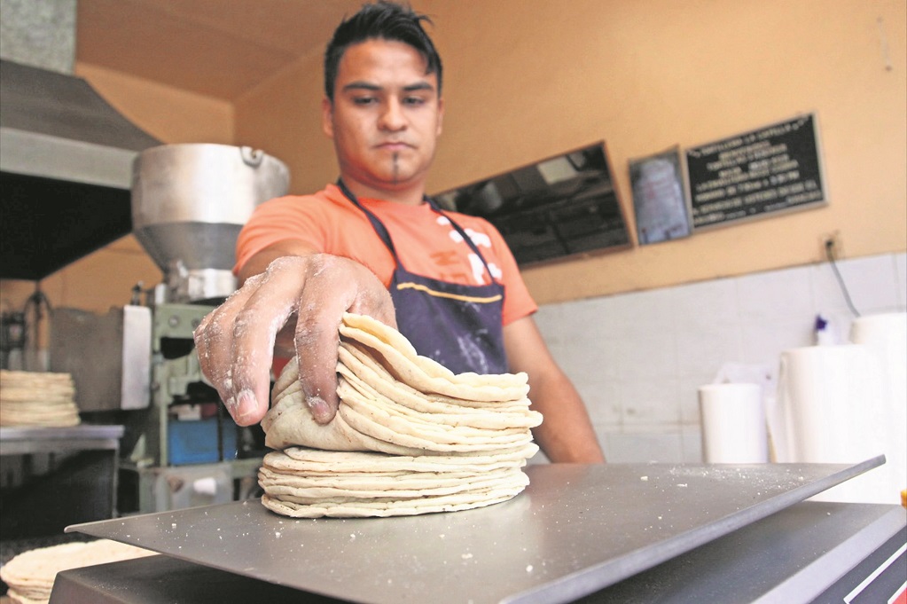 Producir un kilo de tortilla cuesta 19.80 pesos en Querétaro 