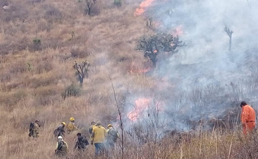 Registran incendio forestal en la Sierra de Guadalupe en Coacalco