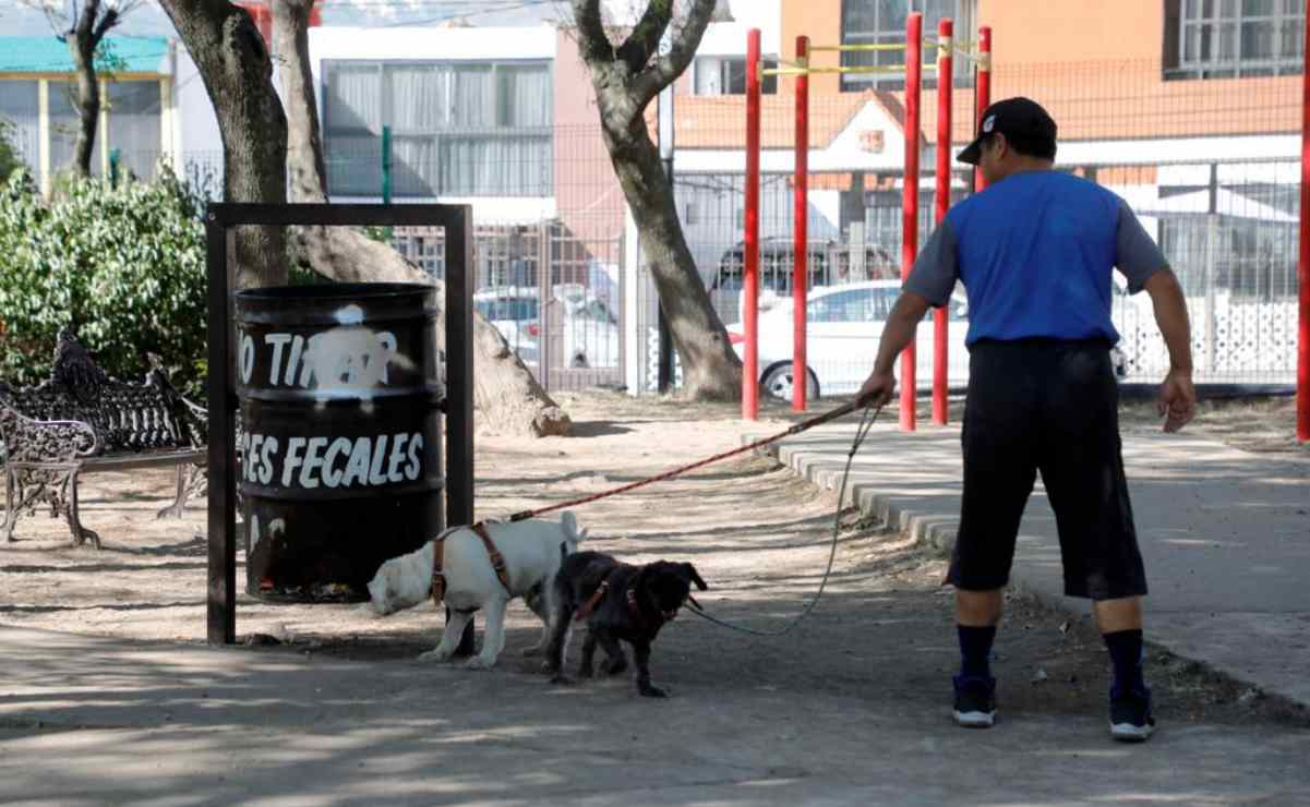 "Colonos solicitaron el espacio", dice gobierno de Naucalpan sobre "perrera" en Parque de Boulevares