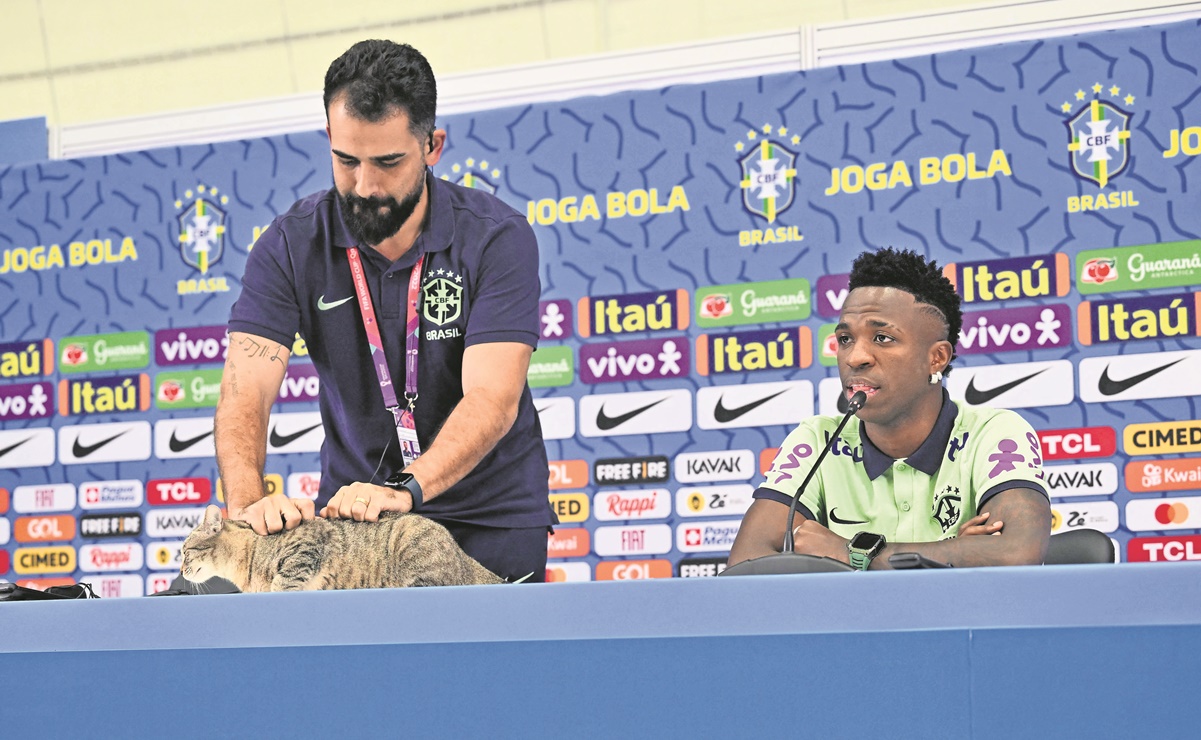 La “maldición” de la Selección de Brasil tras el maltrato a un gato en el Mundial de Qatar 2022