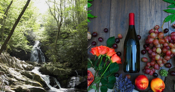 Un resort para los amantes de la naturaleza y el vino en Tennessee