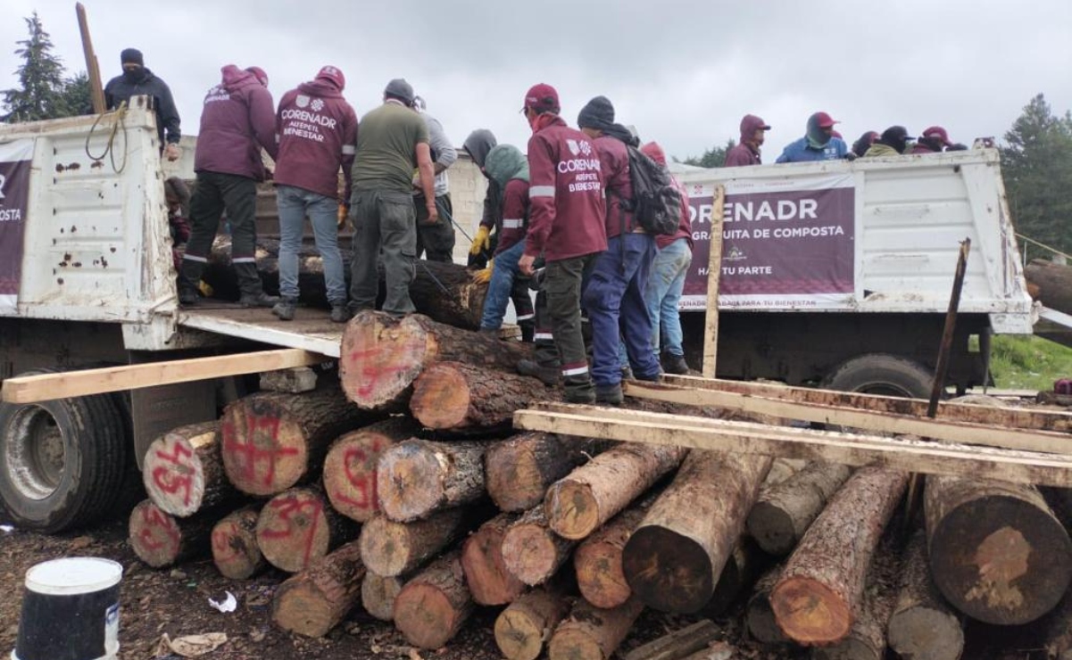 Dan golpe a la tala en CDMX: cierran 28 aserraderos y 32 madererías ilegales