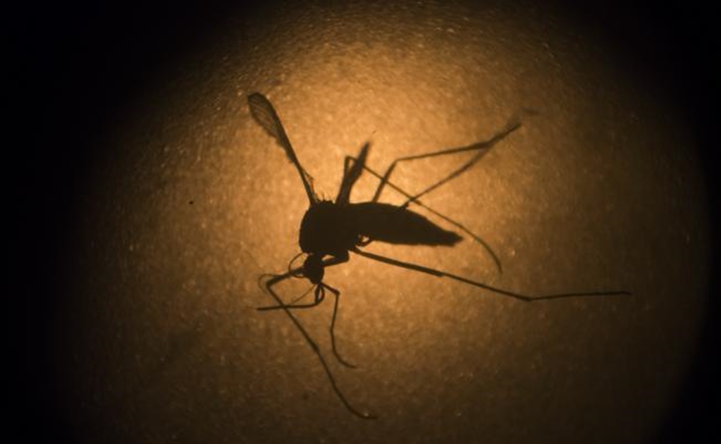 Mexico confirms 160 cases of Zika