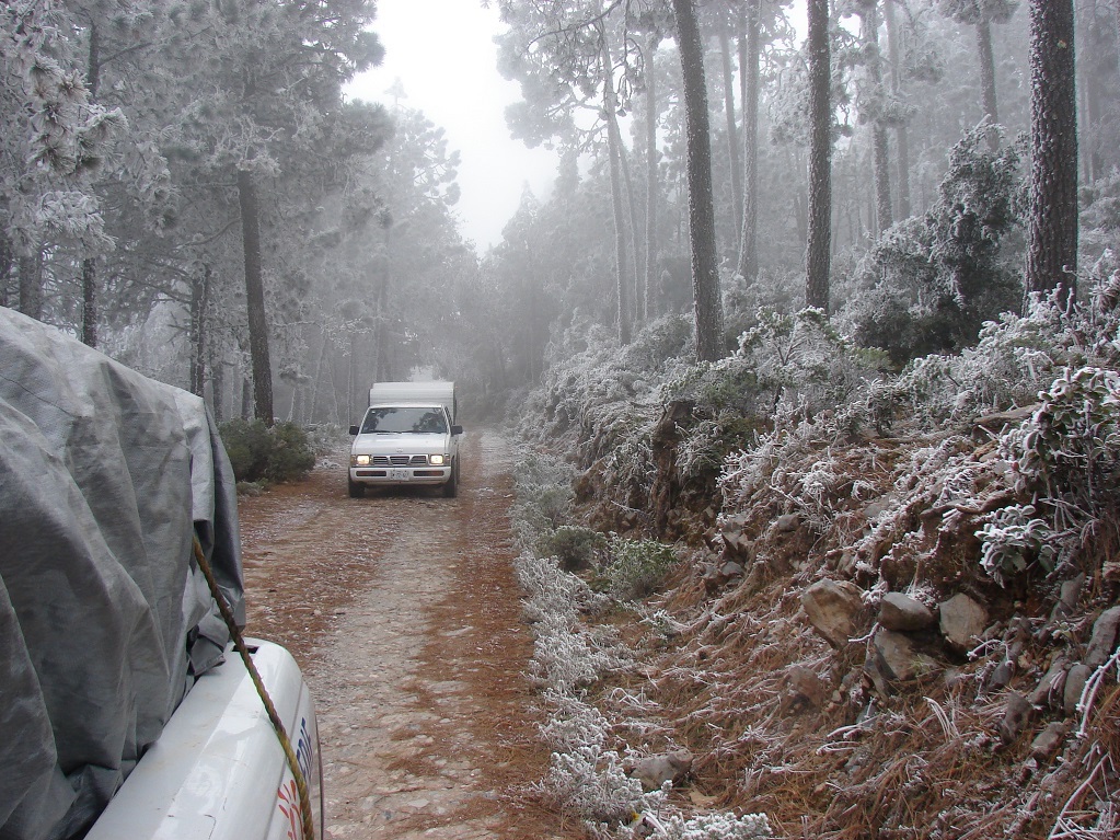 Pronostican caída de aguanieve y nieve en zonas altas de Querétaro 