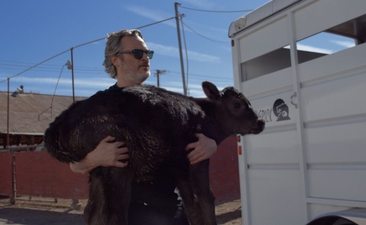 Joaquin Phoenix salva a una vaca y su cría de un matadero