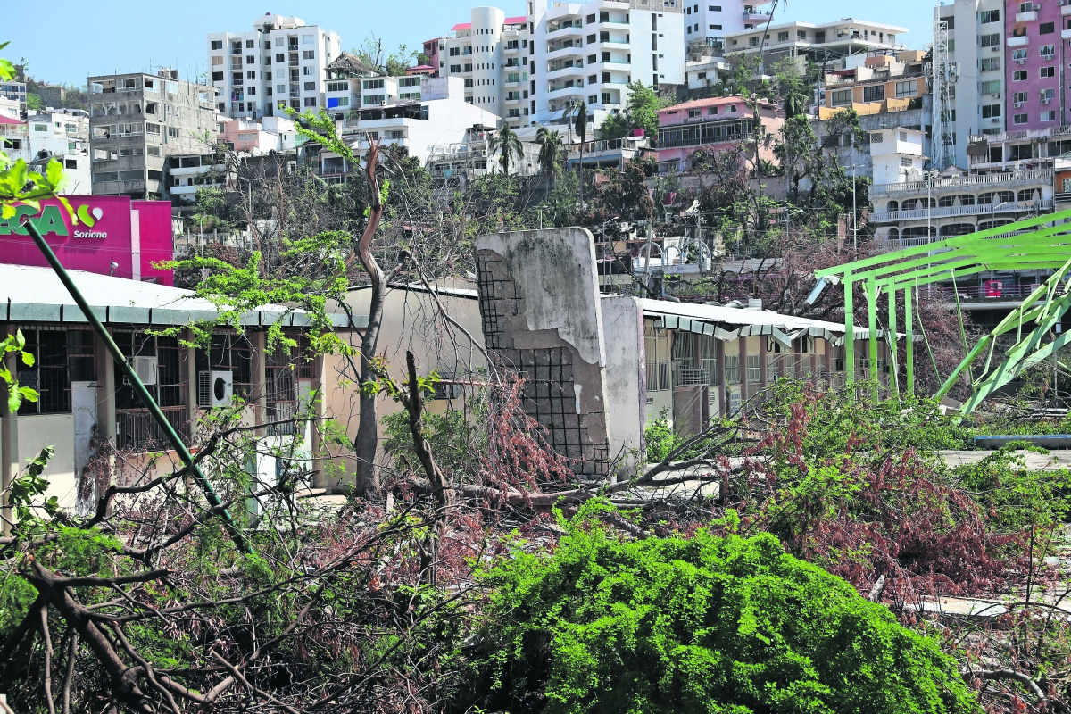 Hay 336 escuelas dañadas por “Otis” en Acapulco y Coyuca 