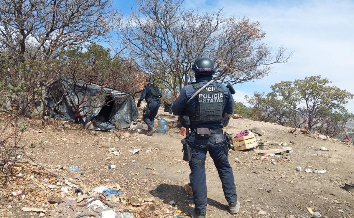 Durante búsqueda de "El Profe Chayo", desarticulan dos campamentos delictivos en Zacatecas