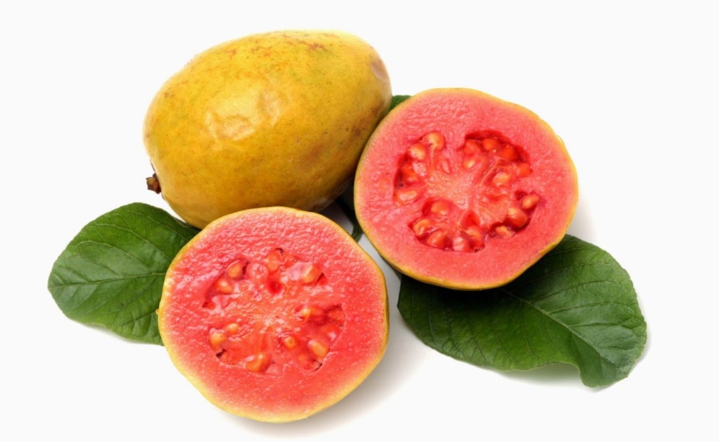 Guava could prevent cancer