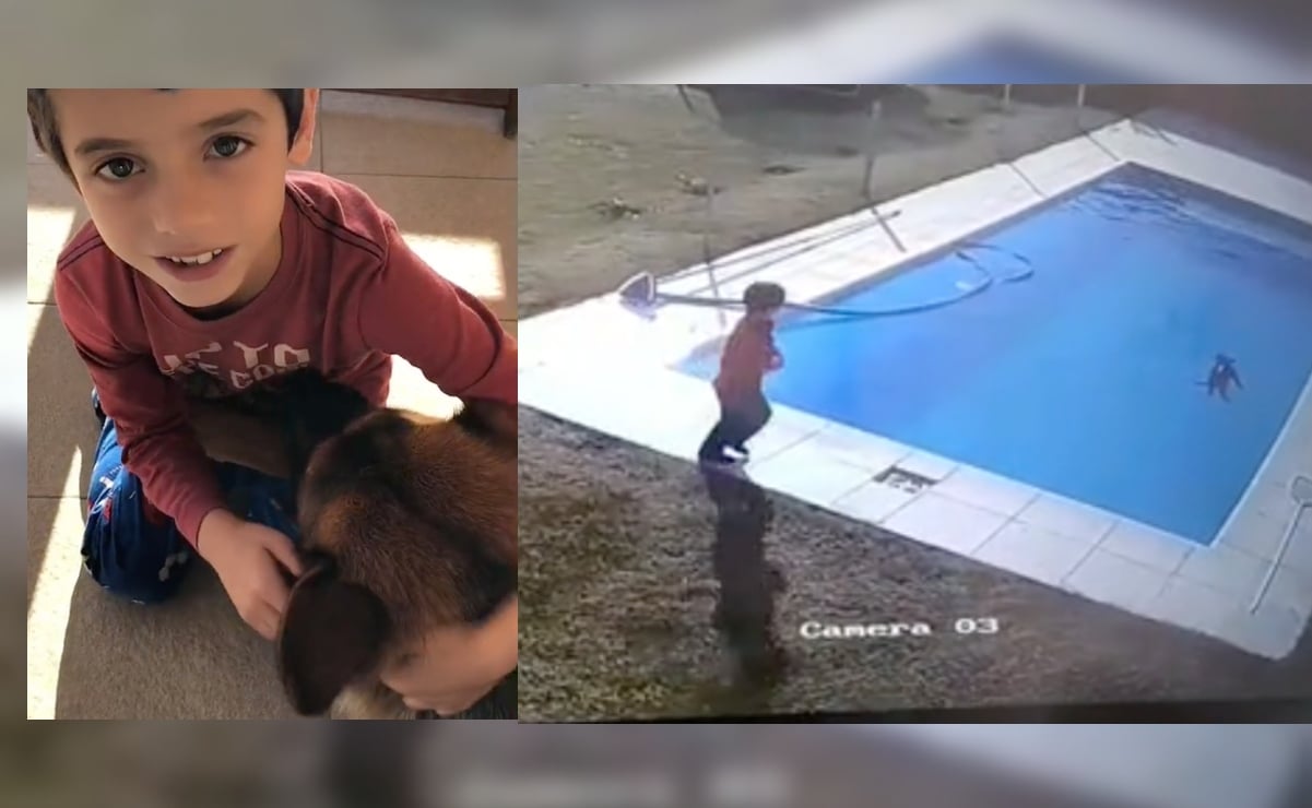 TikTok: niño de 5 años salva a su perro de morir ahogado