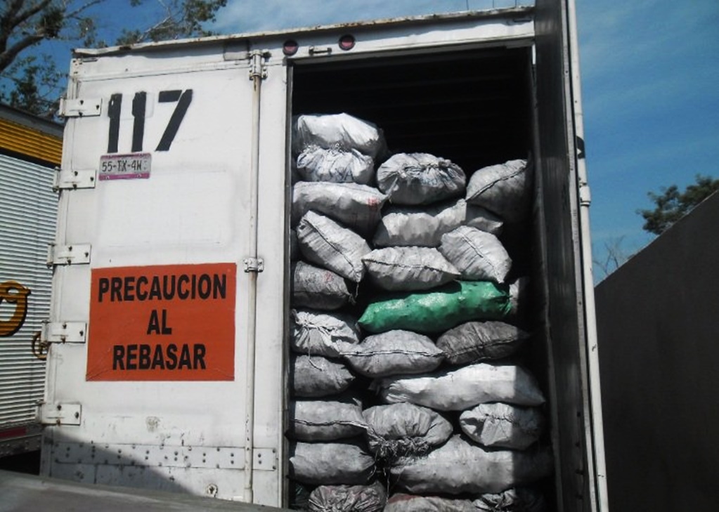 La Profepa asegura mil 200 costales de carbón vegetal en Chiapas