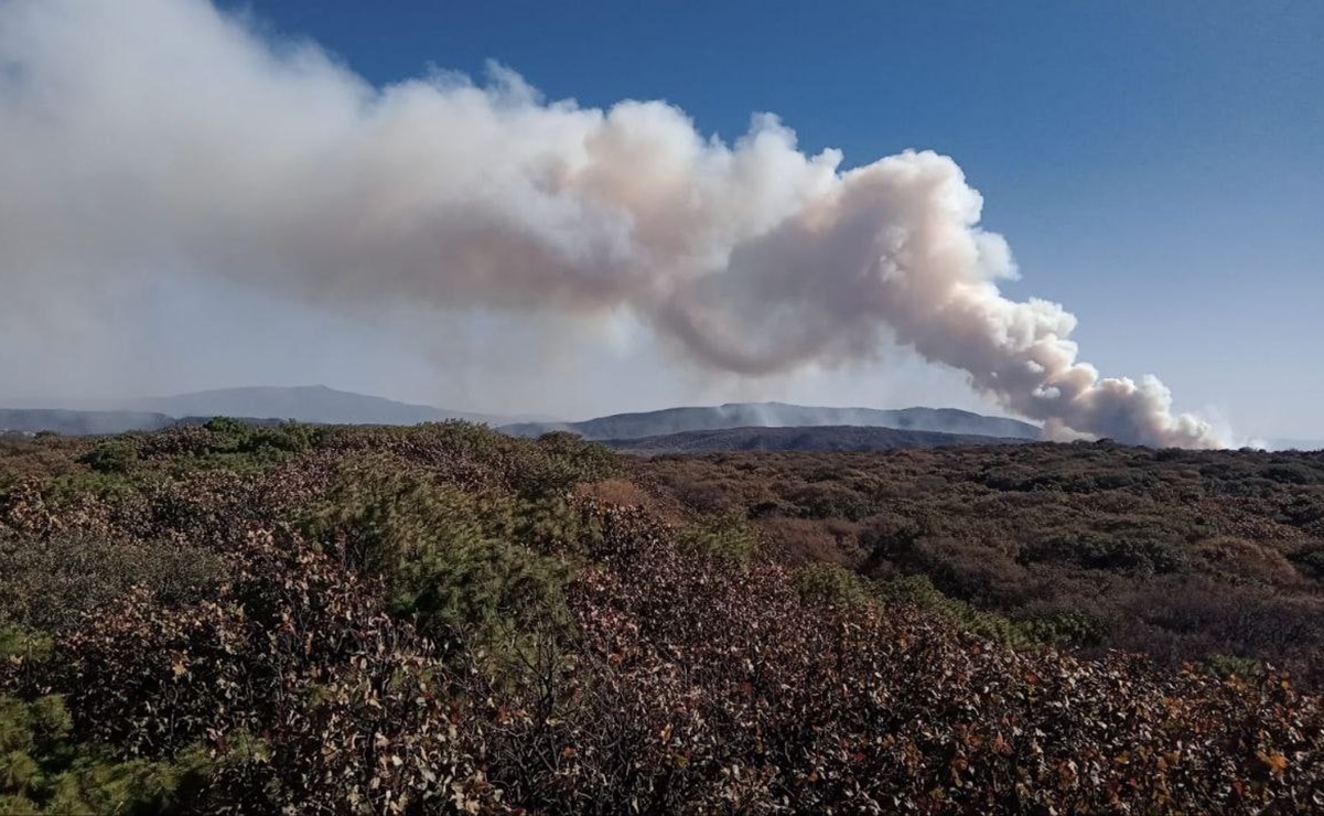 Se registra incendio en el bosque La Primavera en Zapopan, Jalisco
