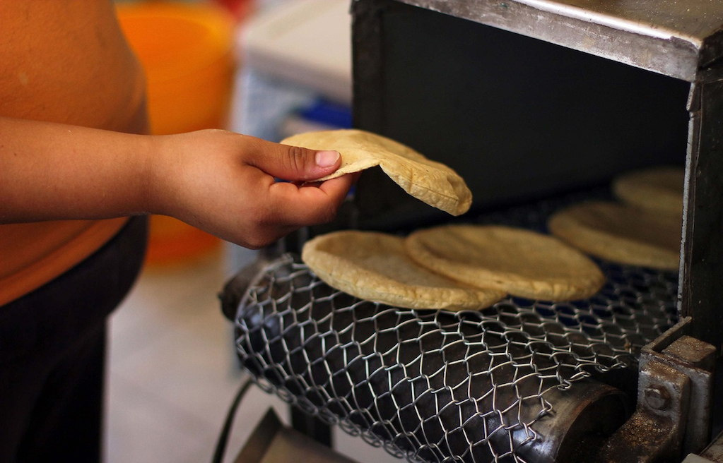 ¡Adiós chilaquilitos! Kilo de tortilla alcanza los 28 pesos en Querétaro 