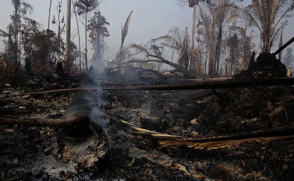 Las imágenes de los incendios registrados en la selva amazónica de Brasil