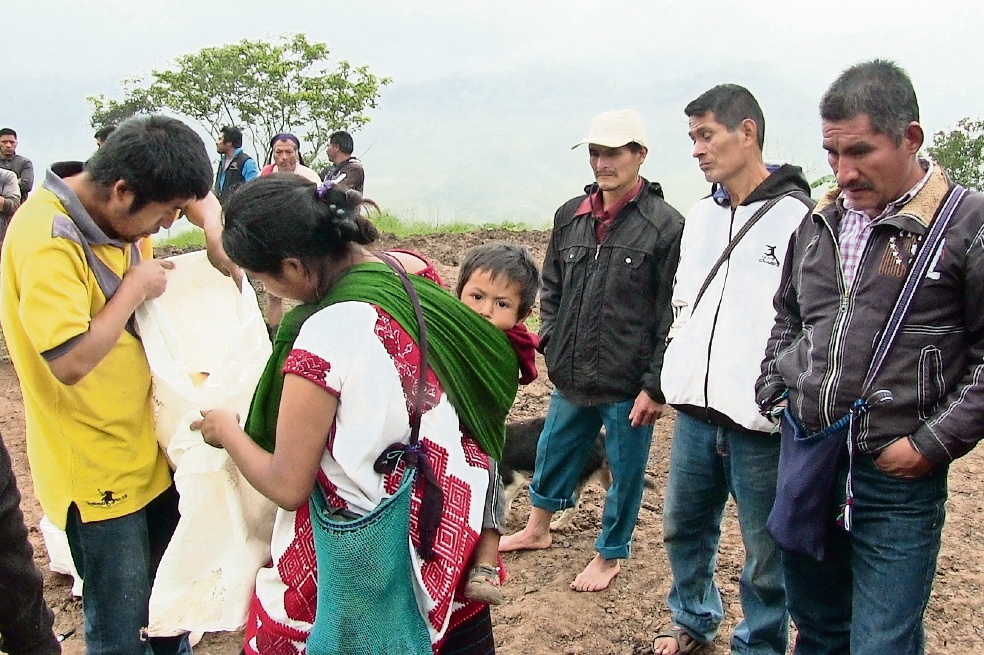 Seis tzotziles desplazados en Chiapas mueren por hambre y frío