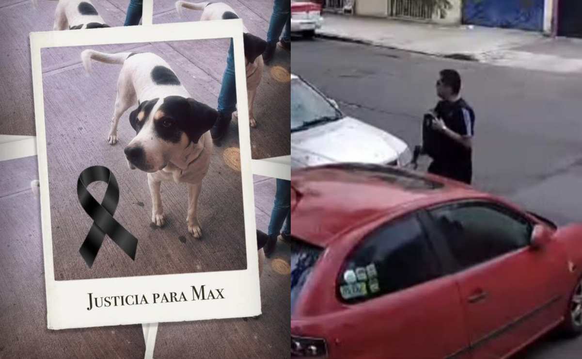 Mundo Patitas denuncia a presunto militar por matar a balazos a perro en la Venustiano Carranza