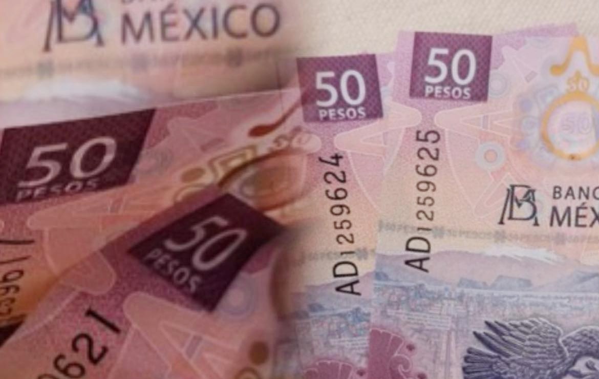 La colección de billetes del ajolote que vale casi $10 millones de pesos