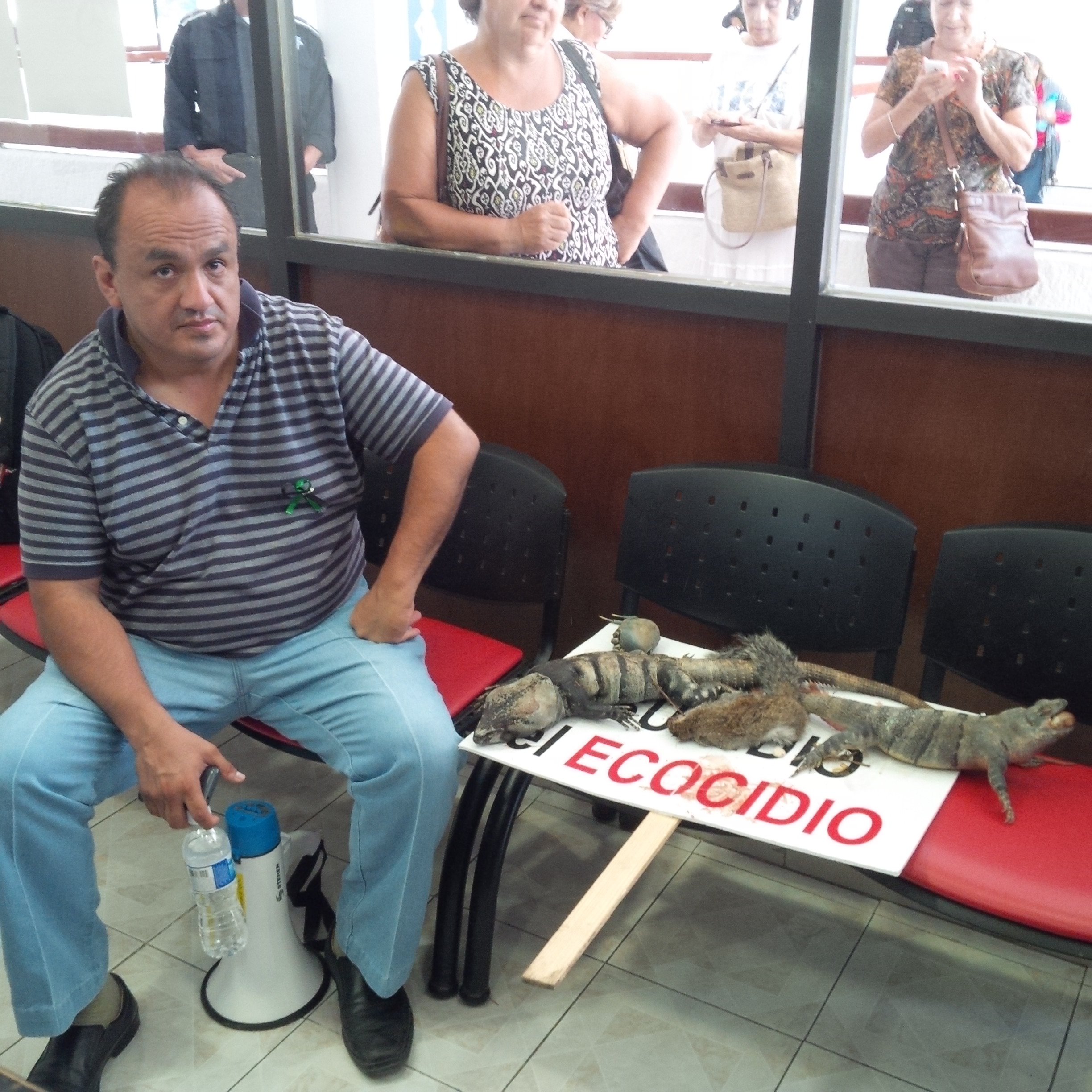 Llevan activistas cadáveres de animales a alcalde de Cancún
