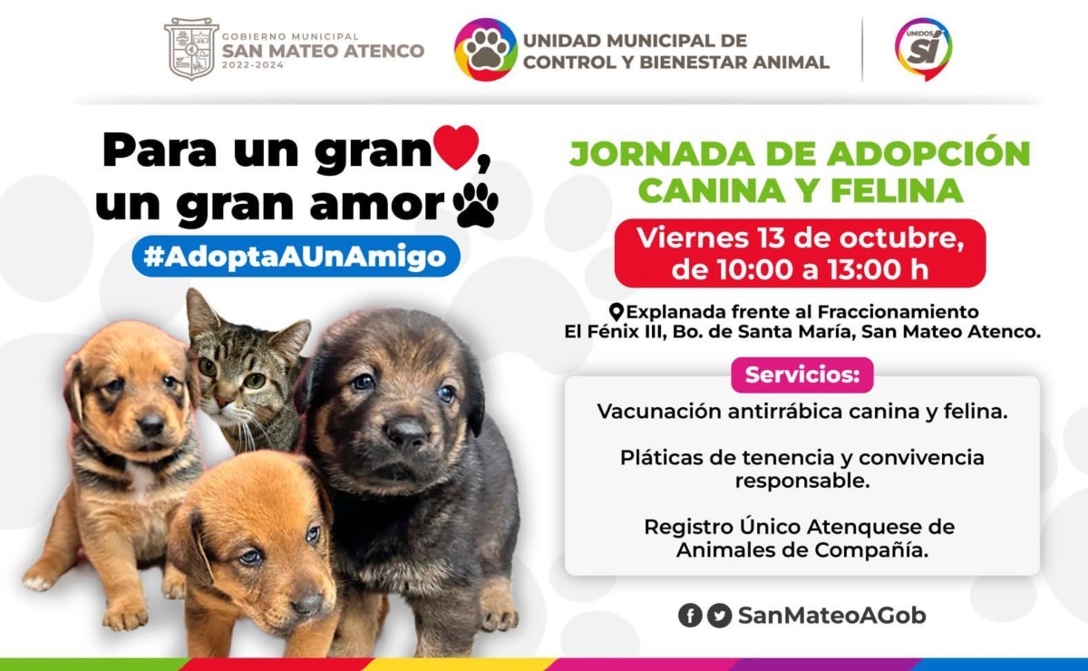 ¡Adopta un nuevo amigo! Anuncian jornada de adopción canina y felina en San Mateo Atenco