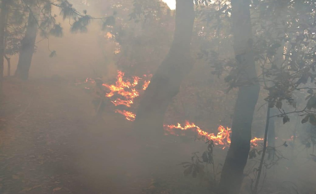 Zacatecas suma 605 incendios forestales y pastizales en el año
