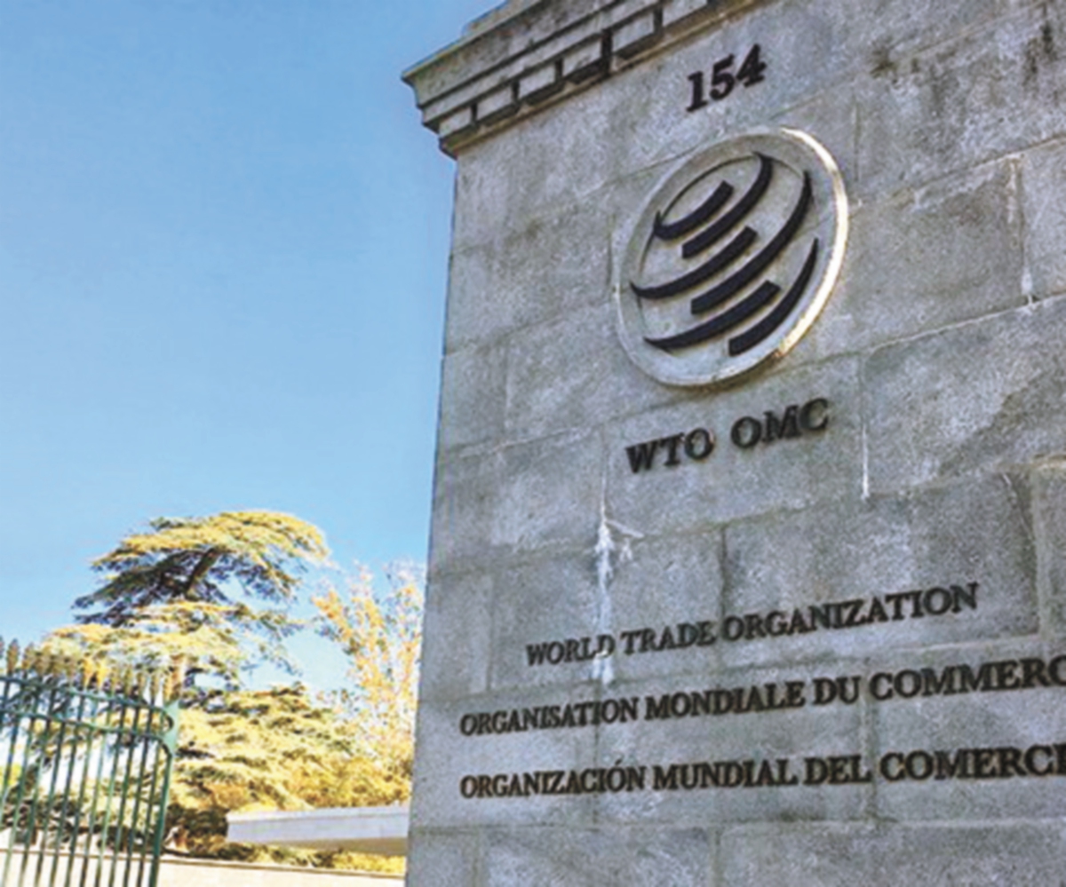Mecanismo de apelación en la OMC es temporal, dice panelista