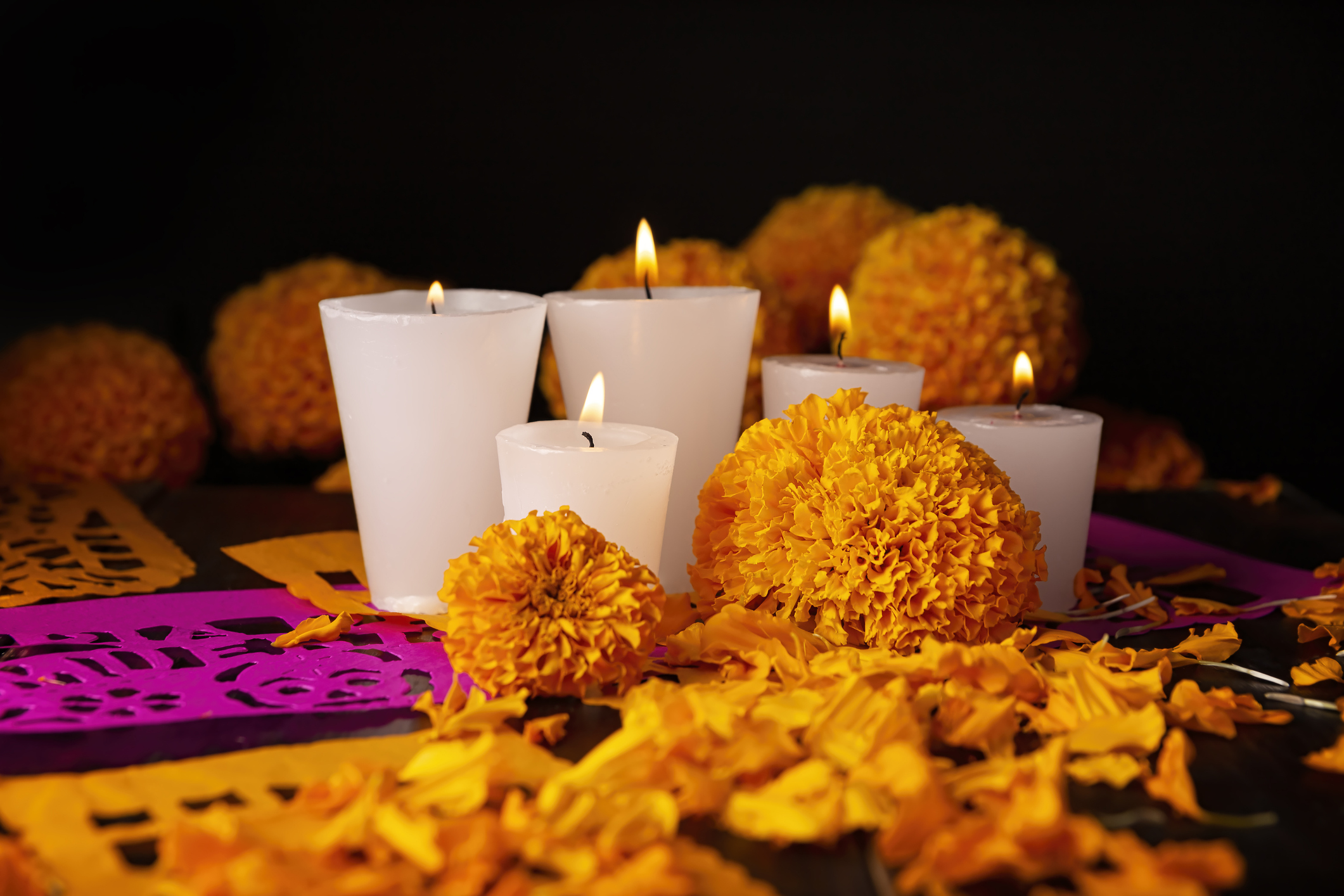 Cempasúchil: El alma de los altares en el Día de Muertos en México