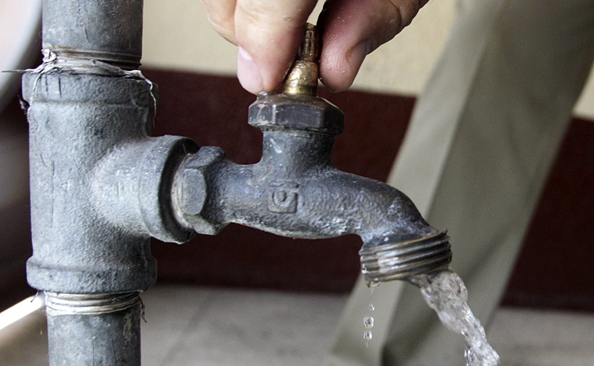 Nuevas protestas en Veracruz y Puebla contra Granjas Carroll; aseguran que contaminan el agua