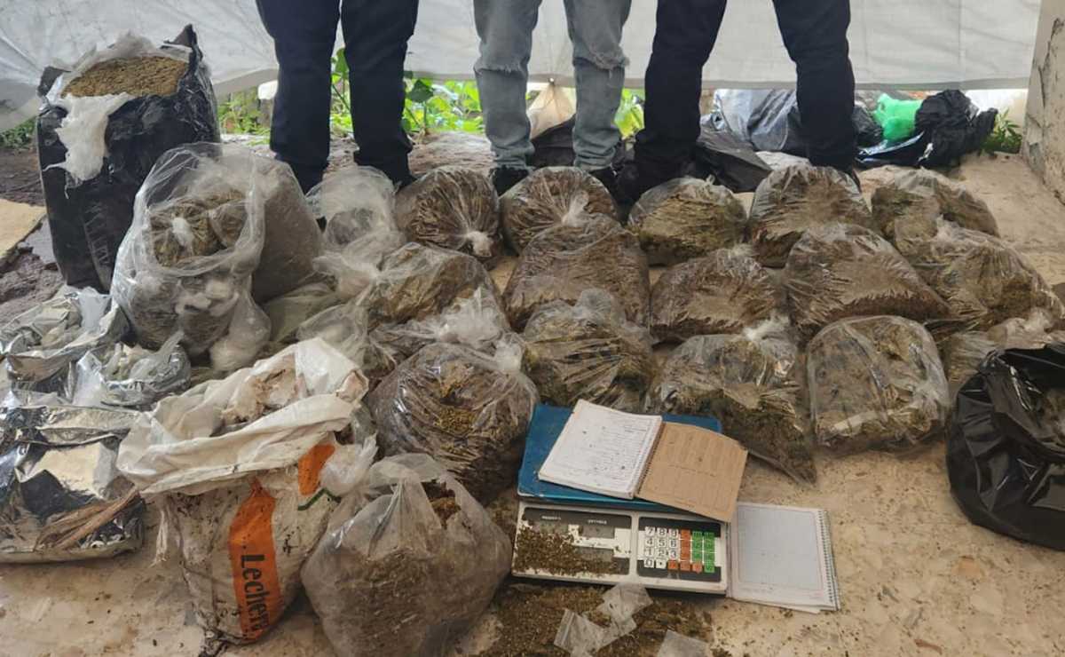 Cae hombre con 80 kilos de marihuana en Eje 1 Norte