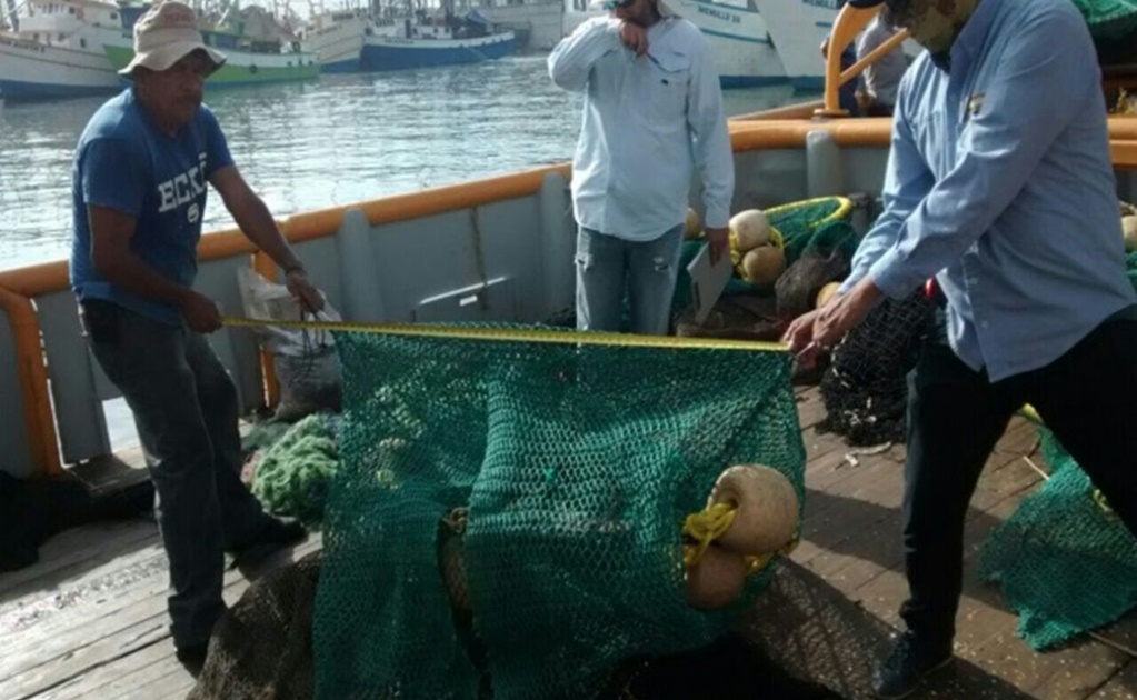 Profepa certifica dispositivos para evitar que tortugas queden en red de pesca