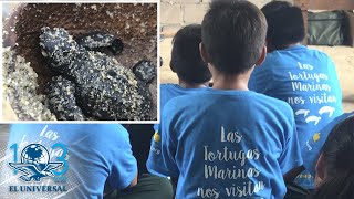 Niños oaxaqueños, la esperanza para salvar a tortugas marinas