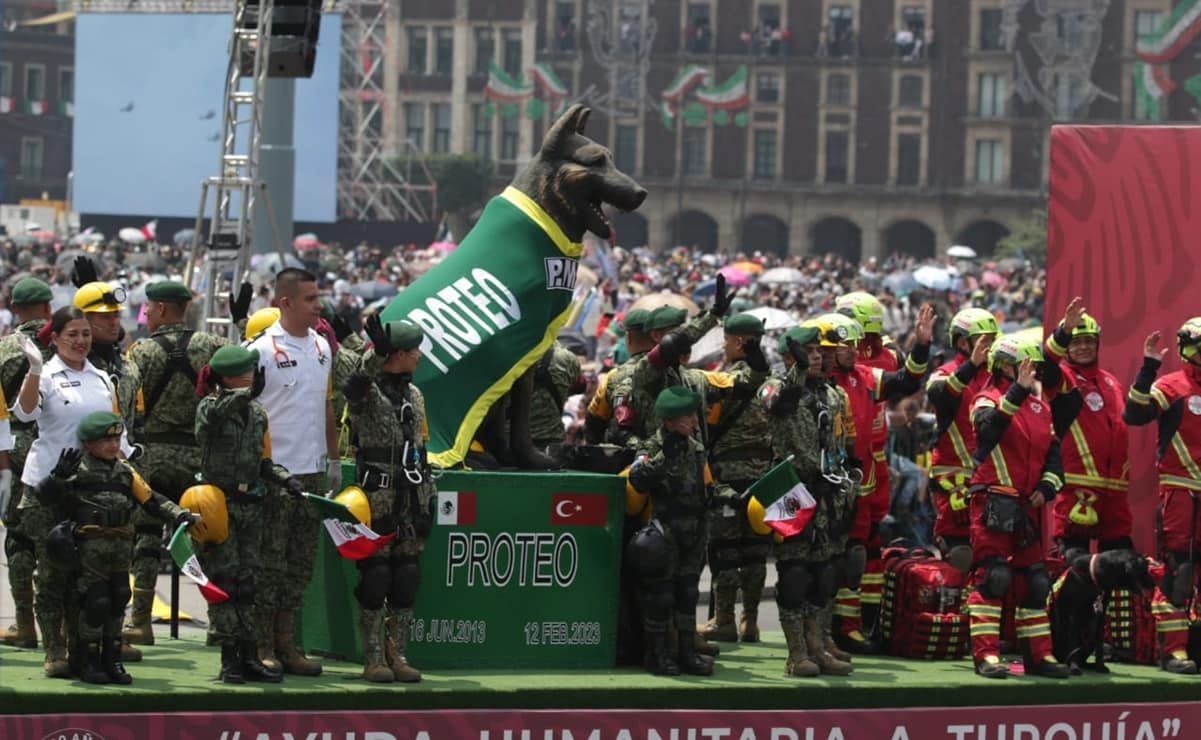 Con estatua y presencia de Arkadas, recuerdan a "Proteo", perrito rescatista que murió en Turquía