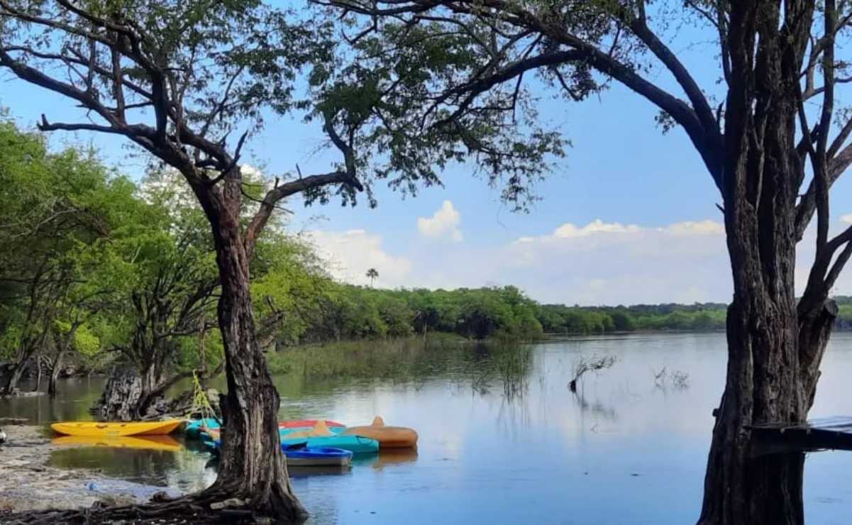 Las fuertes lluvias reviven laguna en Tizimín, Yucatán: Ecosistema acuífero estuvo seco durante varios meses