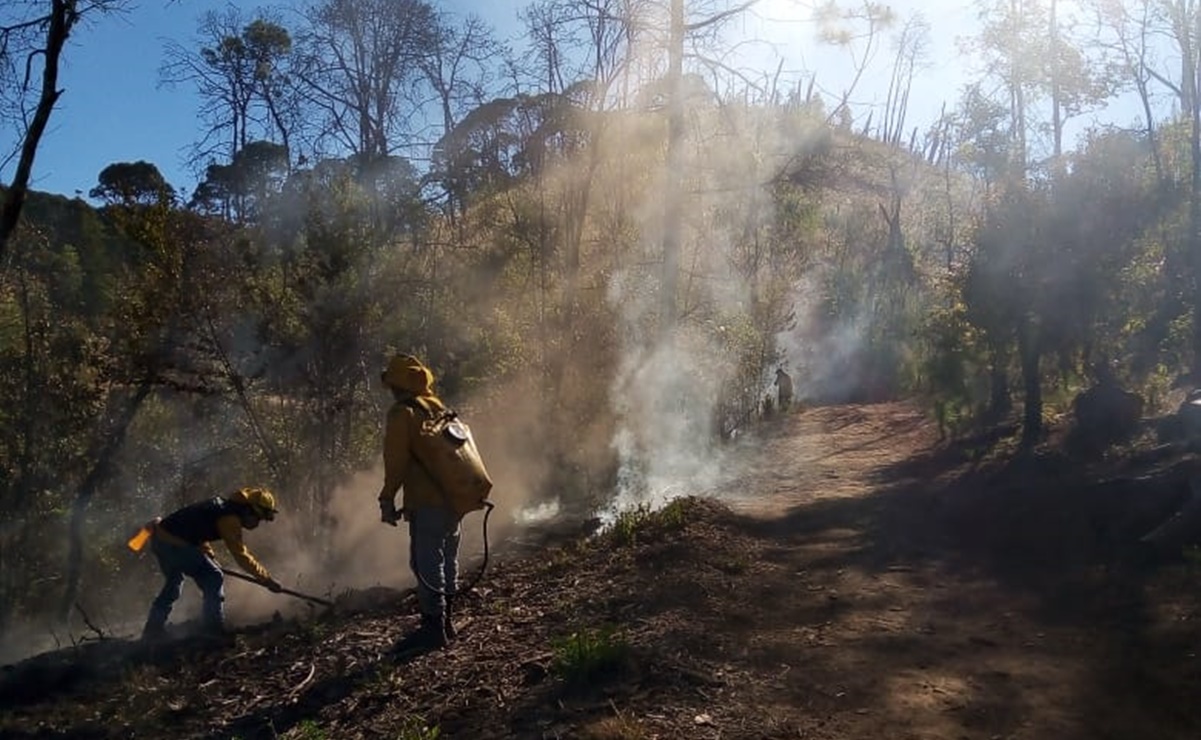 Controlan incendio en parque estatal de Valle de Bravo tras 24 horas de su inicio; hay 30 hectáreas afectadas 