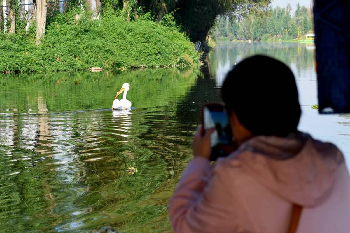 Así es un safari fotográfico por los canales de Tláhuac