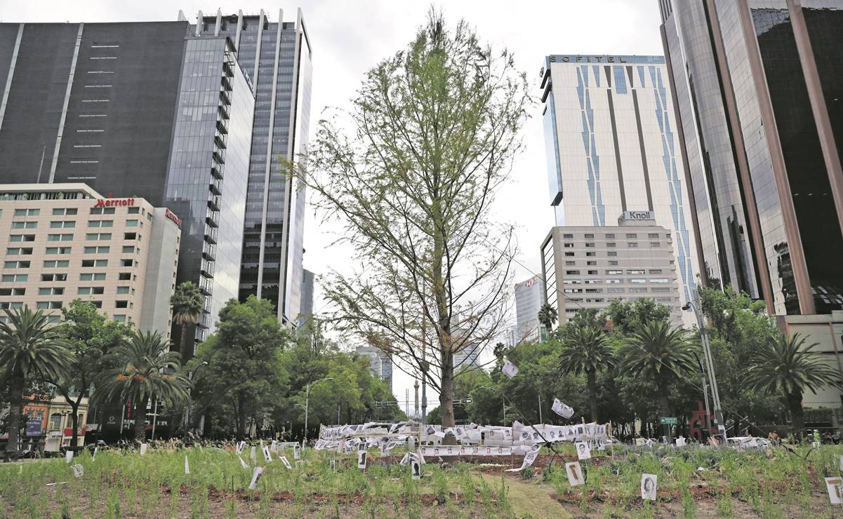 Reciben al ahuehuete en Reforma entre fiesta y protesta