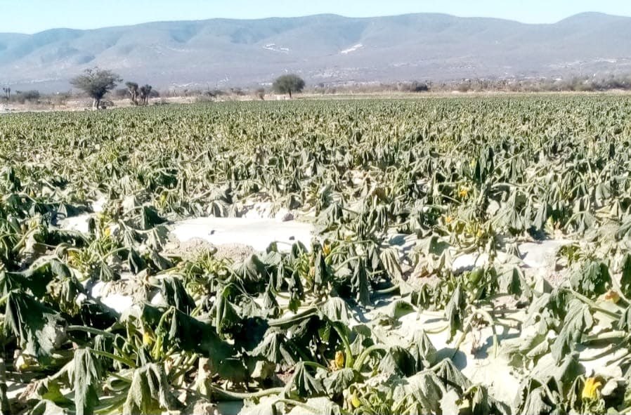 ¡No guardes la chamarra! En estos municipios de Puebla seguirán las ...