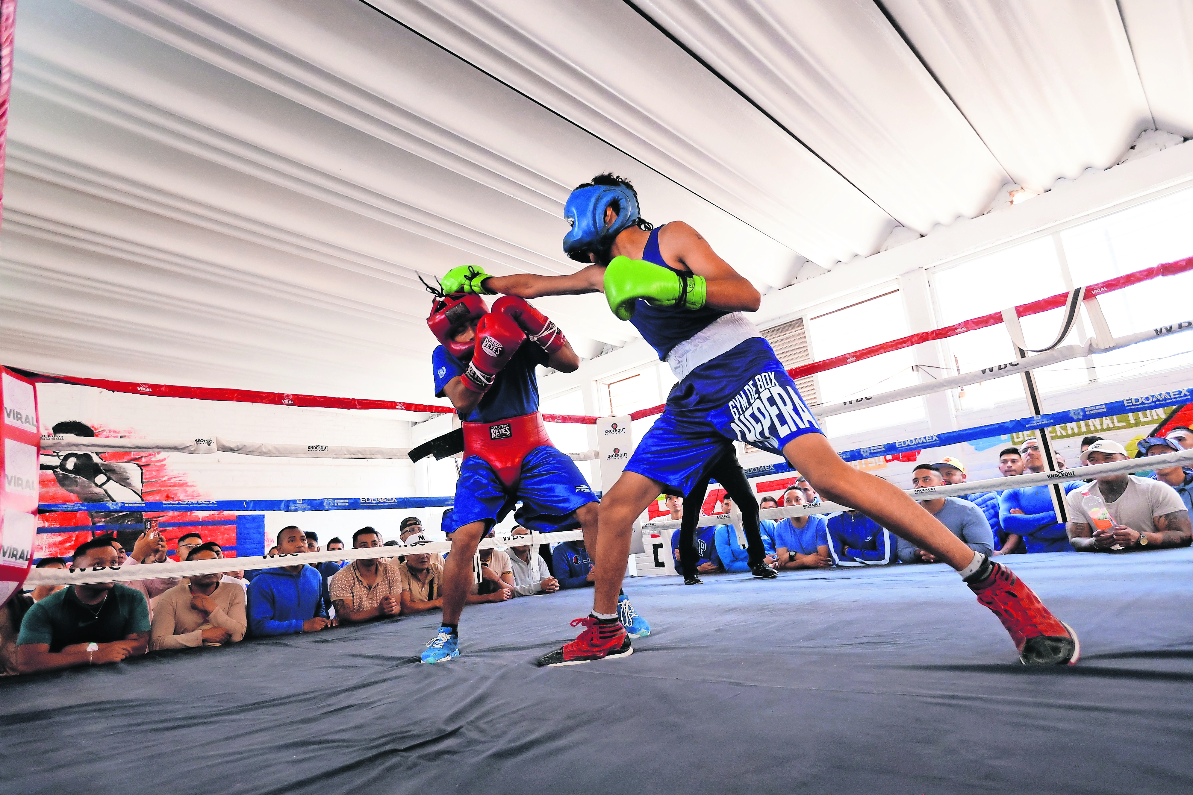 Internos de penales mexiquenses practican box como terapia de reinserción social 