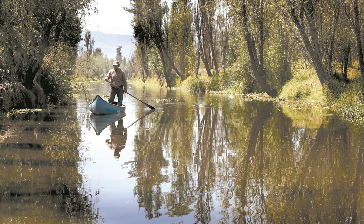 Xochimilco desde varias perspectivas