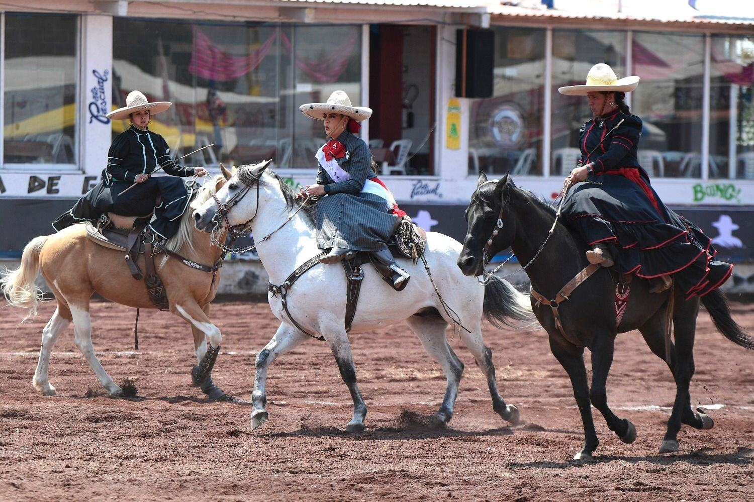 Feria Internacional del Caballo Texcoco 2024: Consulta aquí la cartelera de los artistas invitados